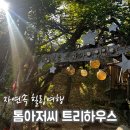 아이들과 꼭 가봐야 하는 곳 🌲 톰아저씨 트리하우스 후기 (내돈내산)