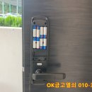 여주열쇠 이미지