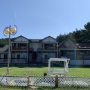 마레미오 이미지