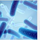 주식회사 에코비오스 이미지