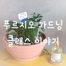 우리 집 작은 정원(홈 가드닝)만들기 | 푸르지오 가드닝 클래스 후기 나만의 화분 만들기 반려식물
