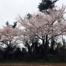 별새꽃들펜션 이미지