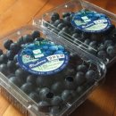 삼보농원 이미지