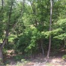 용인시장평보건진료소 이미지