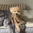 견생공감 이미지