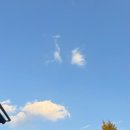 솜마(나) 이미지