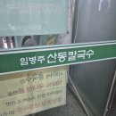 산동칼국수 | [티캣의 먹방로그] 미쉐린도 인정한 강남 칼국수, 임병주 산동칼국수 방문 후기 🍜