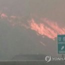 강릉 산불로 통제했던 고속도로 전 구간 통행 재개 이미지