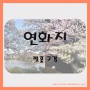 김천시 관광안내소 티스토리