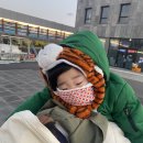 시장민박 이미지