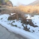 입석리농장 이미지