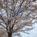 GS25운정호수공원(캐슬) 이미지