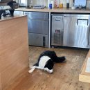 버스정류장 05-174 | 분위기 좋았던 연남동 카페 추천 하우스 키루