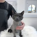 춘자민박 이미지