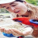 천상의 보금자리 이미지