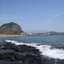 보성초 버스정류장 네이버블로그