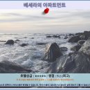 바다환경ENG | 여행 숙소 추천: 베세라의 아파트먼트 솔직 후기