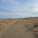 도로감시 | 제주 올레 3코스 탐방후기