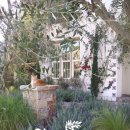 켈리포니아 민박 이미지