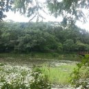 수목원약수터 이미지