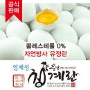 행운유정란 네이버블로그