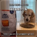 내추럴로 | 대형견 대용량 사료 추천 기호성과 성분 모두 잡은 내추럴발란스 솔직 후기