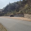 도림사관광안내소 이미지