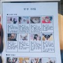 댕댕카페 이미지