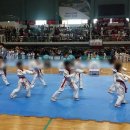 용인대 튼튼 태권도 이미지