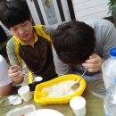 부룡합기도 이미지