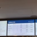 [🇰🇷충북 제천] 리솜 포레스트 ‘해브나인 스파’ 총정리 후기 (비오는날 방문/스톤스파 웨이팅/회원가...