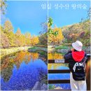 전라북도 여행지 추천 임실 성수산 왕의숲 자연휴양림 국민여가캠핑장 맨발걷기길 전북치유관광지