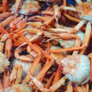 으뜸수산 이미지