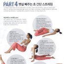 뱃살집 이미지