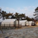 힐링아일랜드 글램핑 이미지