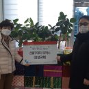 강성교회 이미지