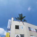 경희대 석사 엘리트 태권도장 이미지