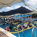 회산백련지 이미지