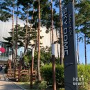 서03-408 | 최강야구 고척 스카이돔 4층 408블록 Q열 시야 직관 팝업스토어 후드티 먹거리 음식 웨이팅 후기