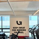 고위드짐 이미지