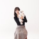 호록사진관 이미지
