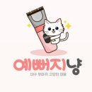 예뻐지냥 | 고양이 무마취 미용 대구 예뻐지냥 후기