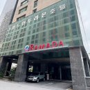 덕우리 | 민둥산 근처 호텔 / 정선호텔 / 이나영원빈결혼식 / 덕우리 청보리밭 / 웨딩스냅 / 셀프 웨딩촬영 추천