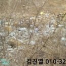 금승근린공원 네이버블로그