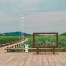 10월18일(토) [코리아둘레길45선10차] 남파랑길63코스 장편소설 태백산맥 배경도시 벌교와 여자만으로 이어지는 갈대밭길 이미지