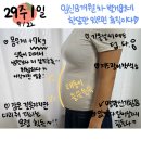 국군강릉병원 | [해삐딸기랑 29주] 임신후기?!?!?! 요즘 왜 살이...늘고 외식도 늘고.. 양양강릉 태교여행까지 ♥️ 이게...