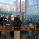 양수강남의원 이미지