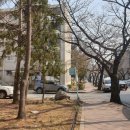 주공3단지 소방서옆 | 철산자이브리에르 | 재건축 전 주공10단지의 기록 (1편)