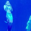 즐거운영재어린이집 이미지