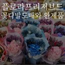 플로라프리저브드